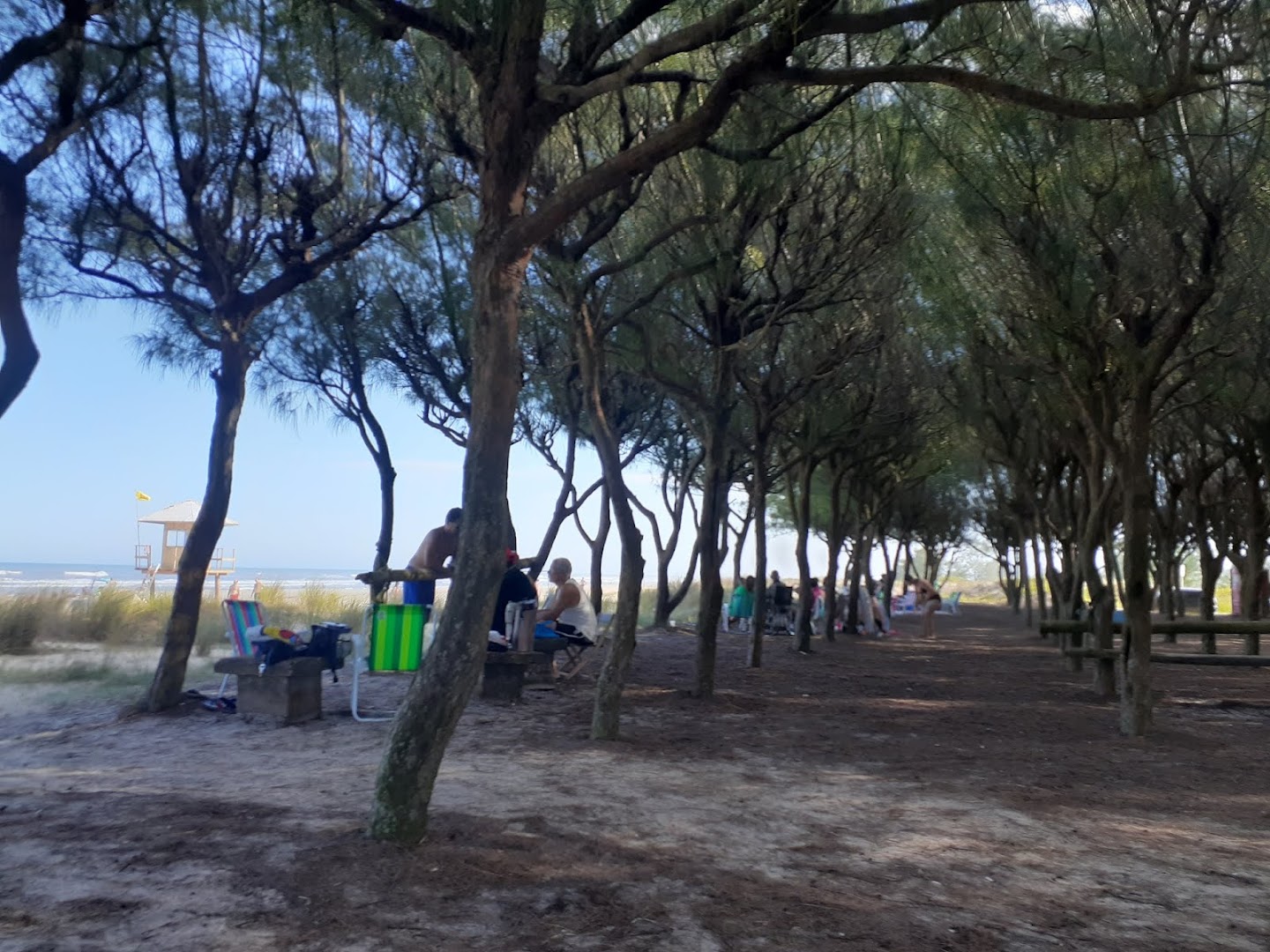 APRESUL - Colônia de Férias - Image 3