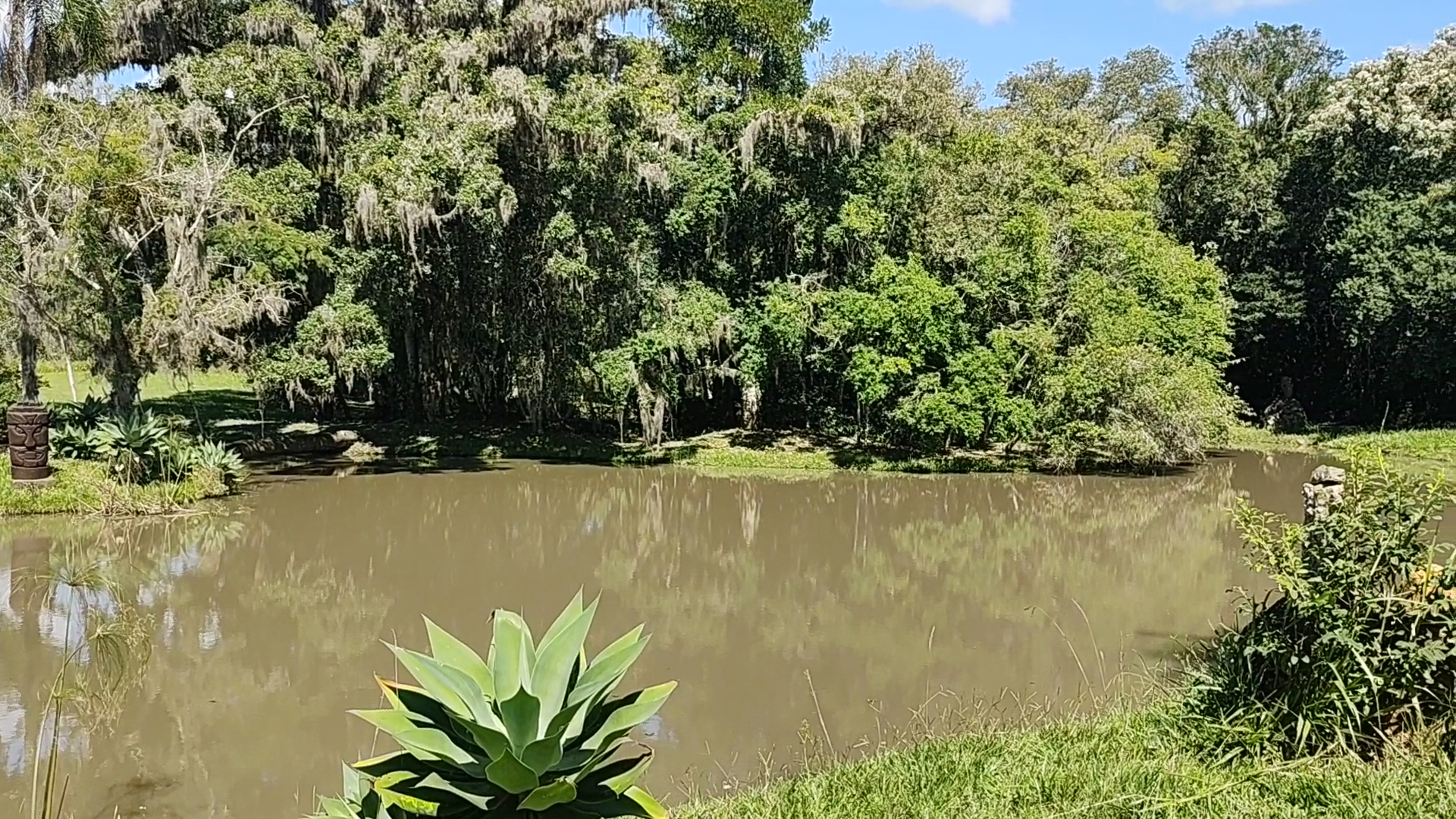 Clube Naturista Colina do Sol - Image 2