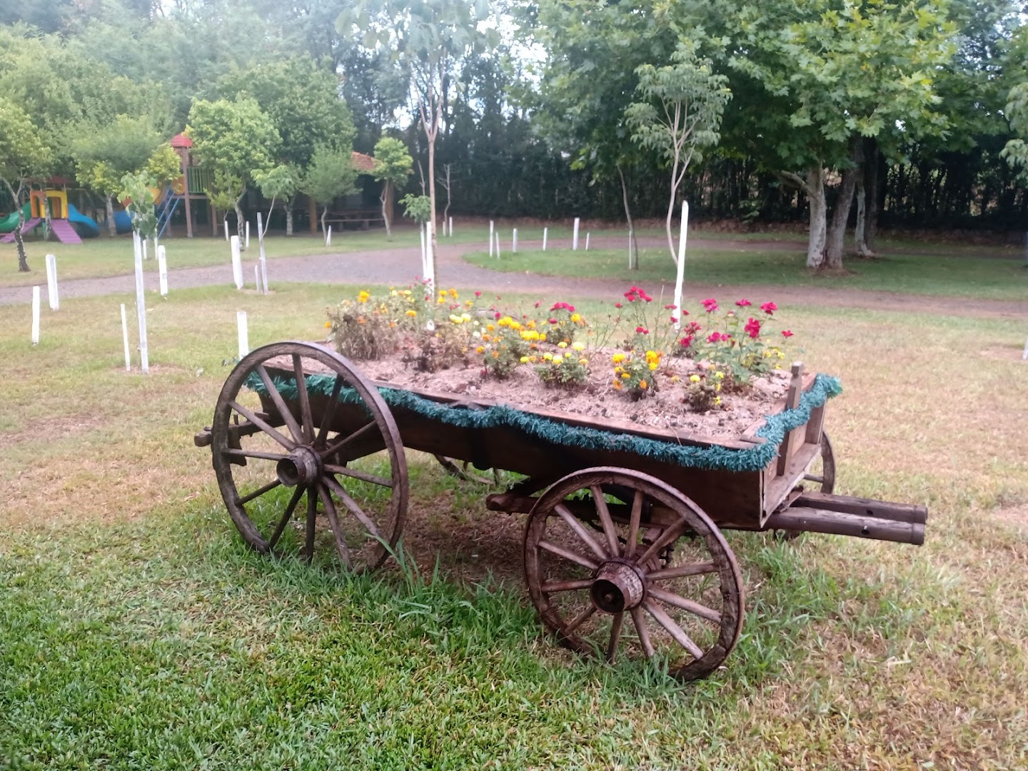 Bellas Águas - Image 3