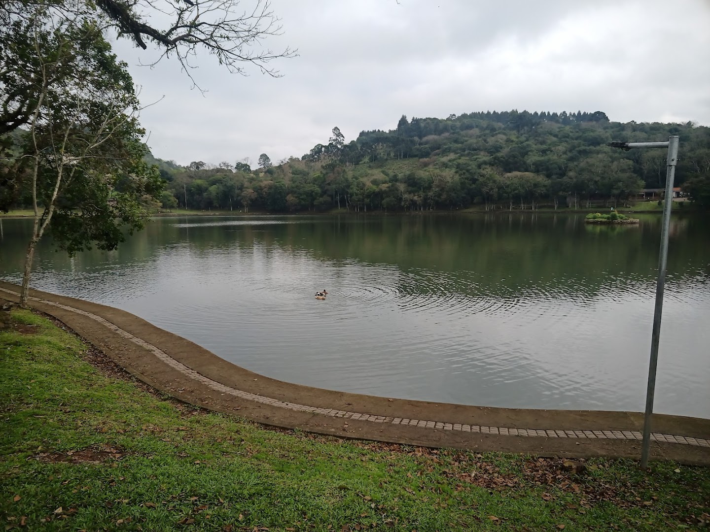 Lagoa Garibaldi - Image 3