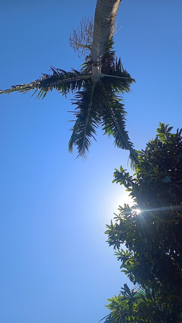 Camping Aroeira - Image 5