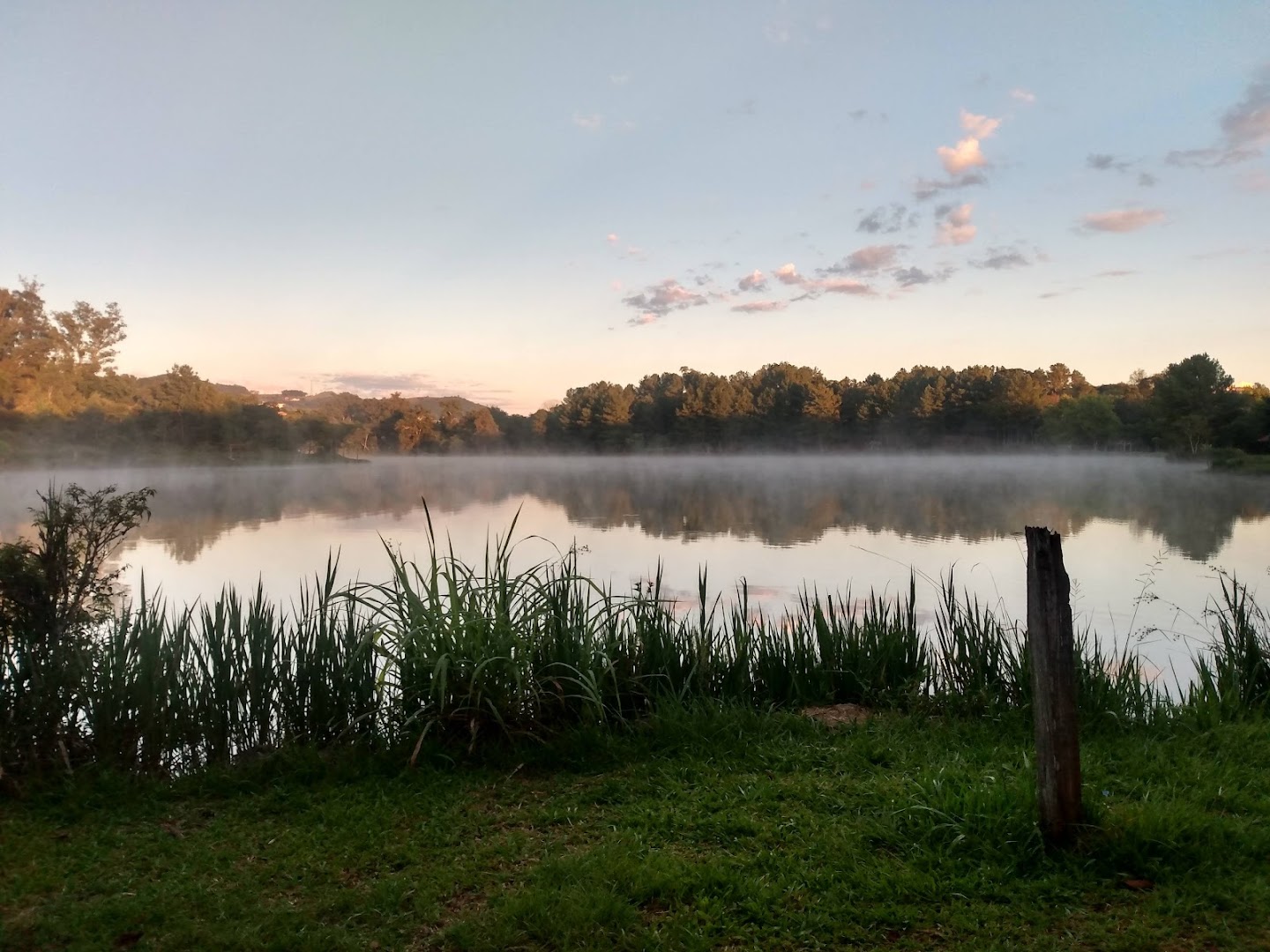 AFAG - Associação de Fomento da Flora e Fauna de Guaporé - Image 3