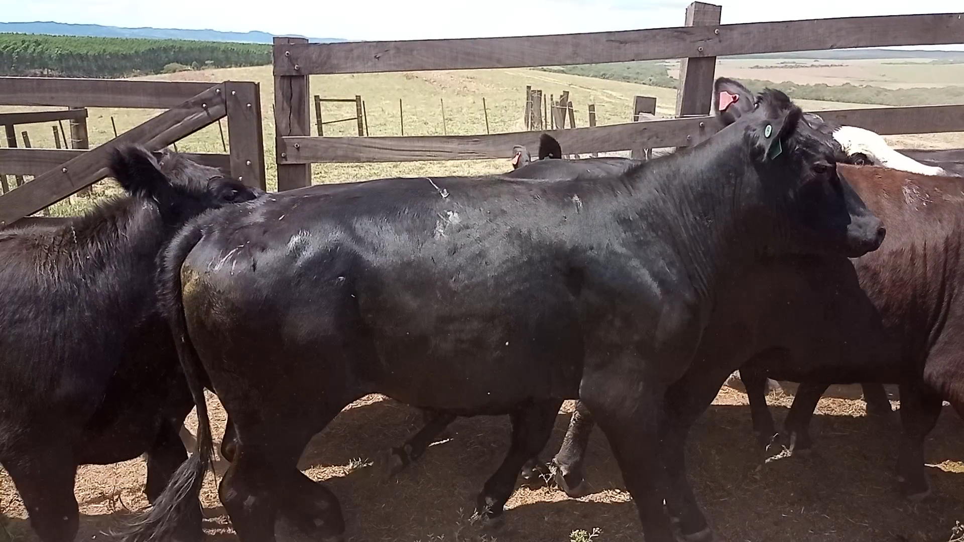 Balneario Passo da Guarda - Image 2