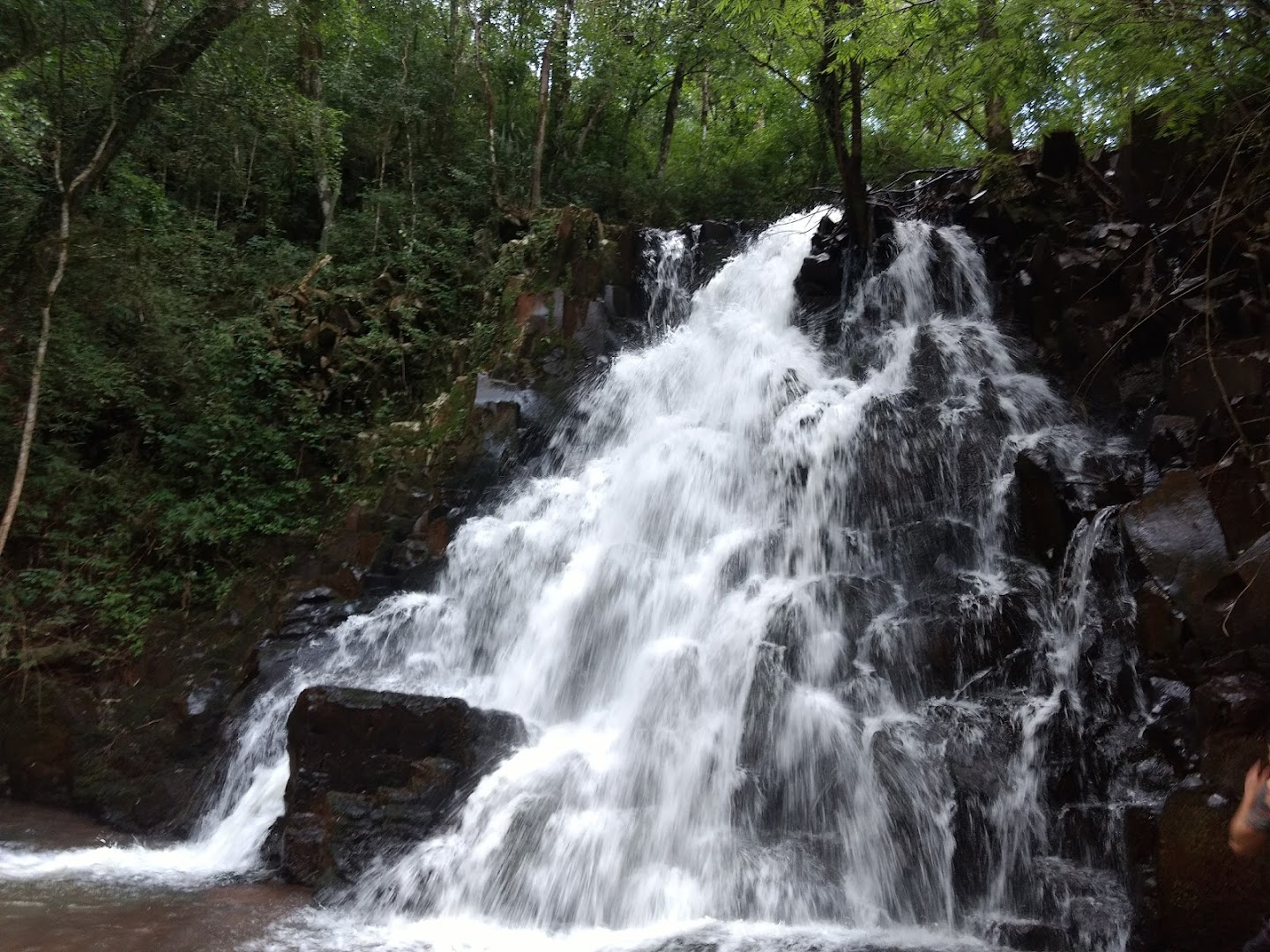 Parque Natural Municipal da Vila Faguense Arcângelo Busatto - Main Image