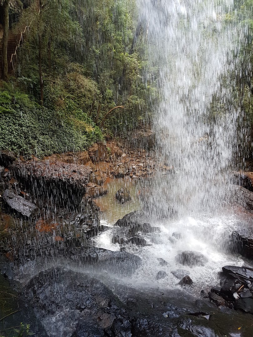 Parque Natural Municipal da Vila Faguense Arcângelo Busatto - Image 3
