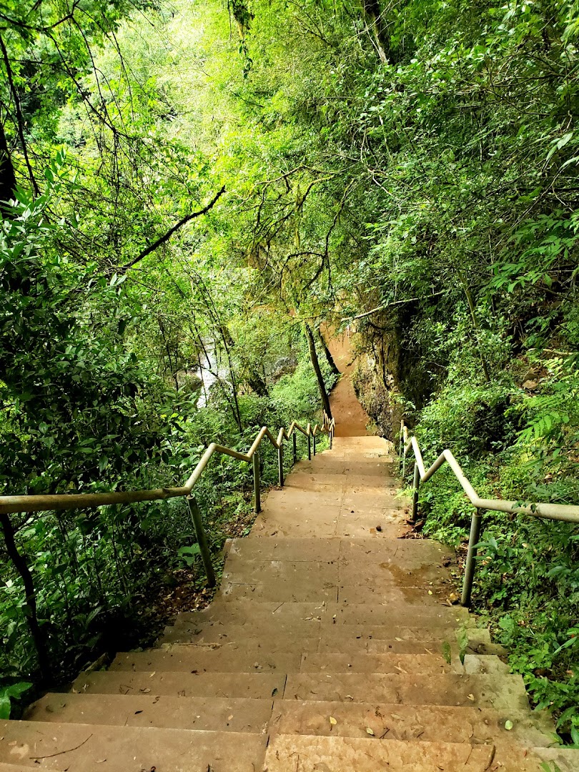 Parque Natural Municipal da Vila Faguense Arcângelo Busatto - Image 4