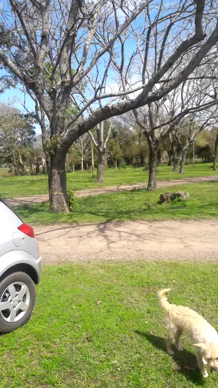 CTG Sentinela do Jacuí - Image 2