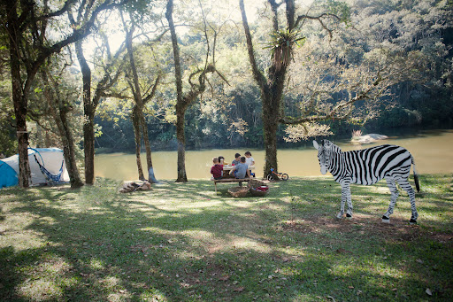 Camping Nórdico - Image 3