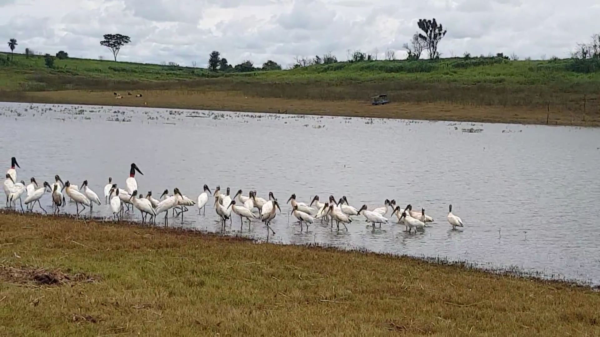 Parque Naútico Sol Brilhante - Image 2