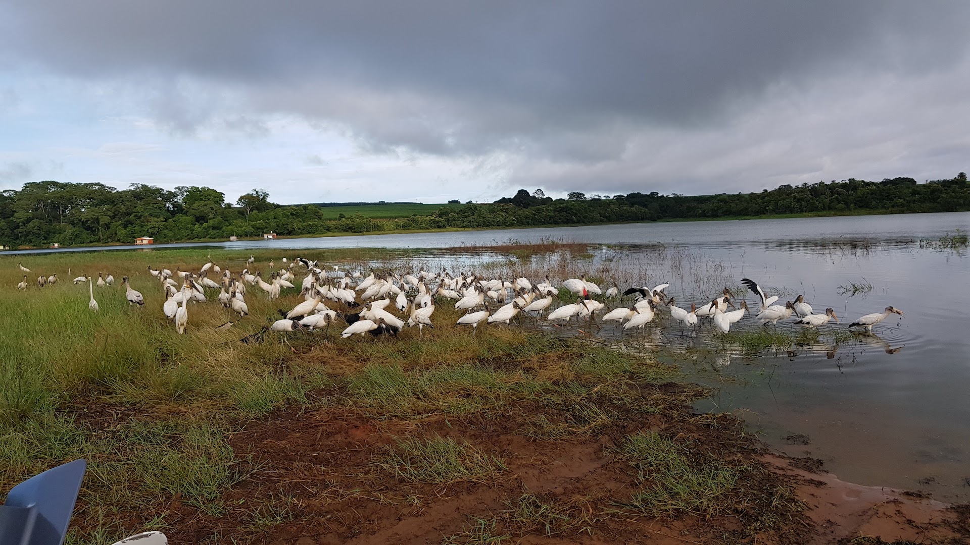 Parque Naútico Sol Brilhante - Image 3