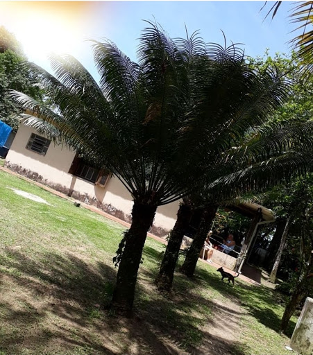 Brisa Camping - Main Image