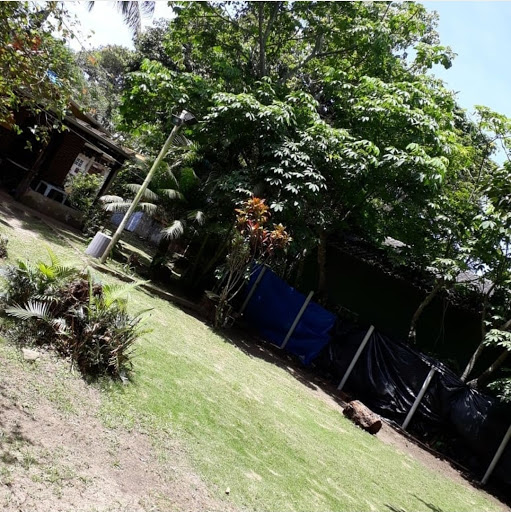 Brisa Camping - Image 3