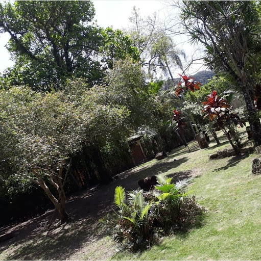 Brisa Camping - Image 4