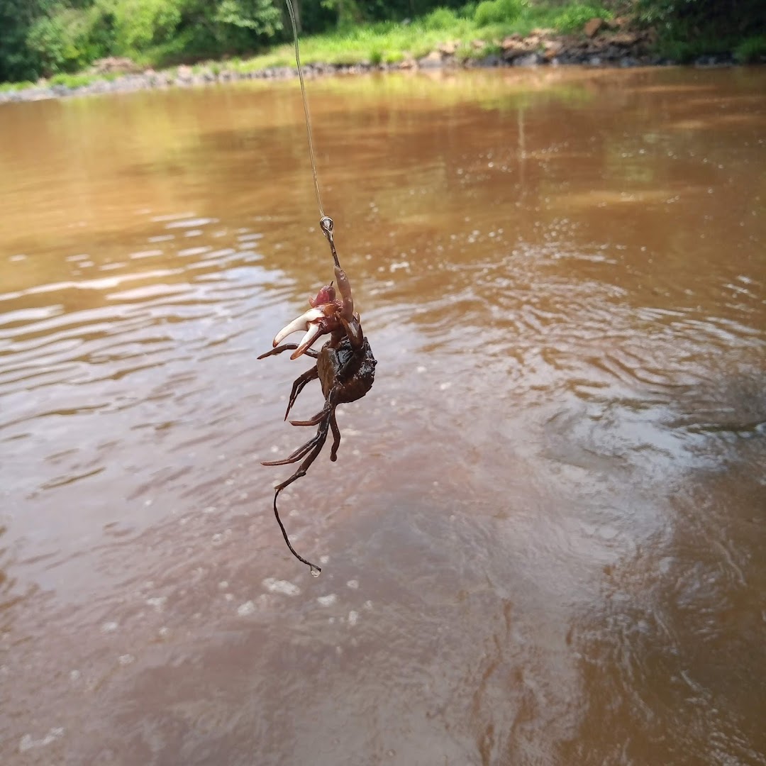 Camping Zappani - Image 3