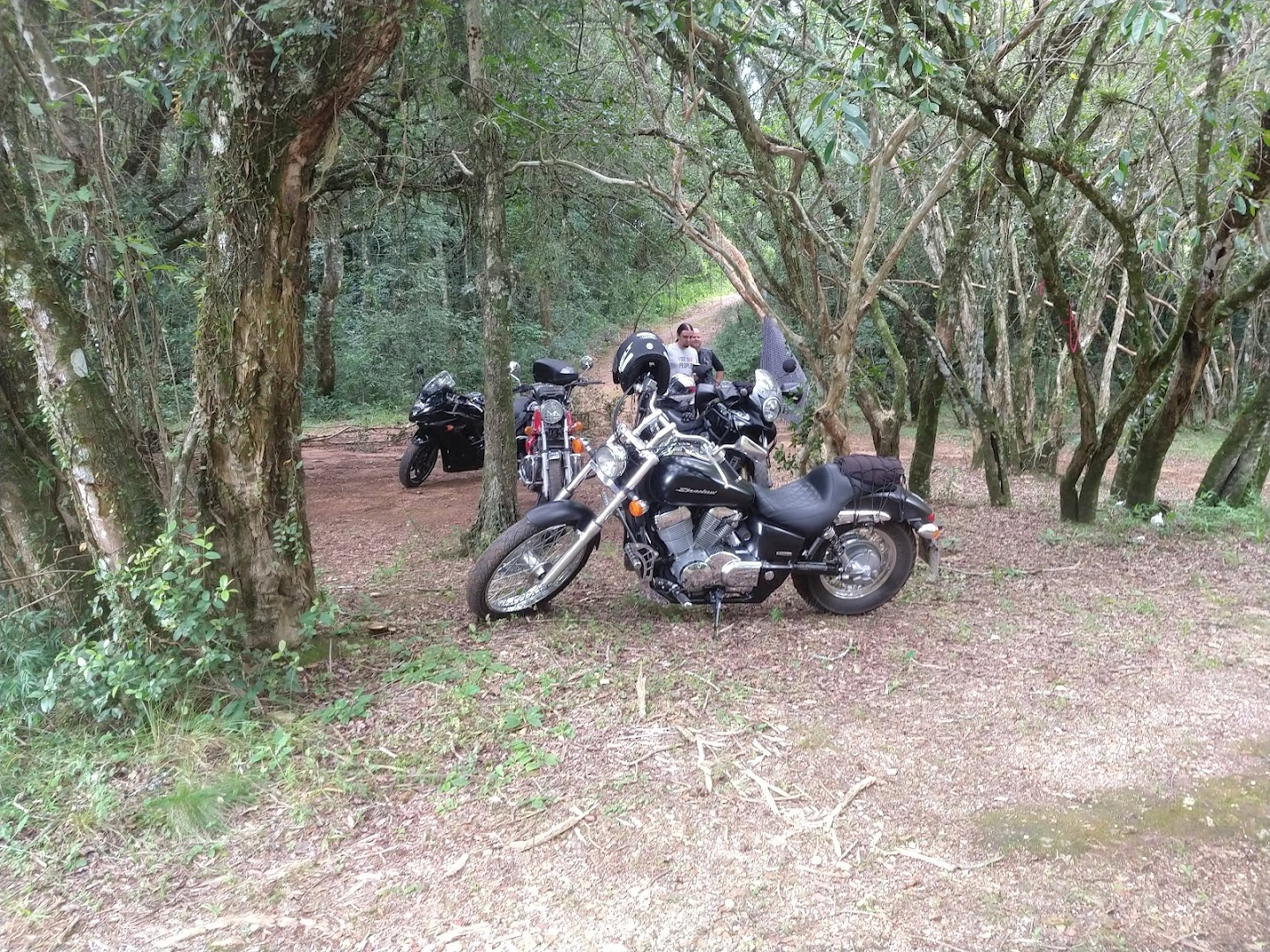 Balneário Mun. Passo da Barca - Image 4