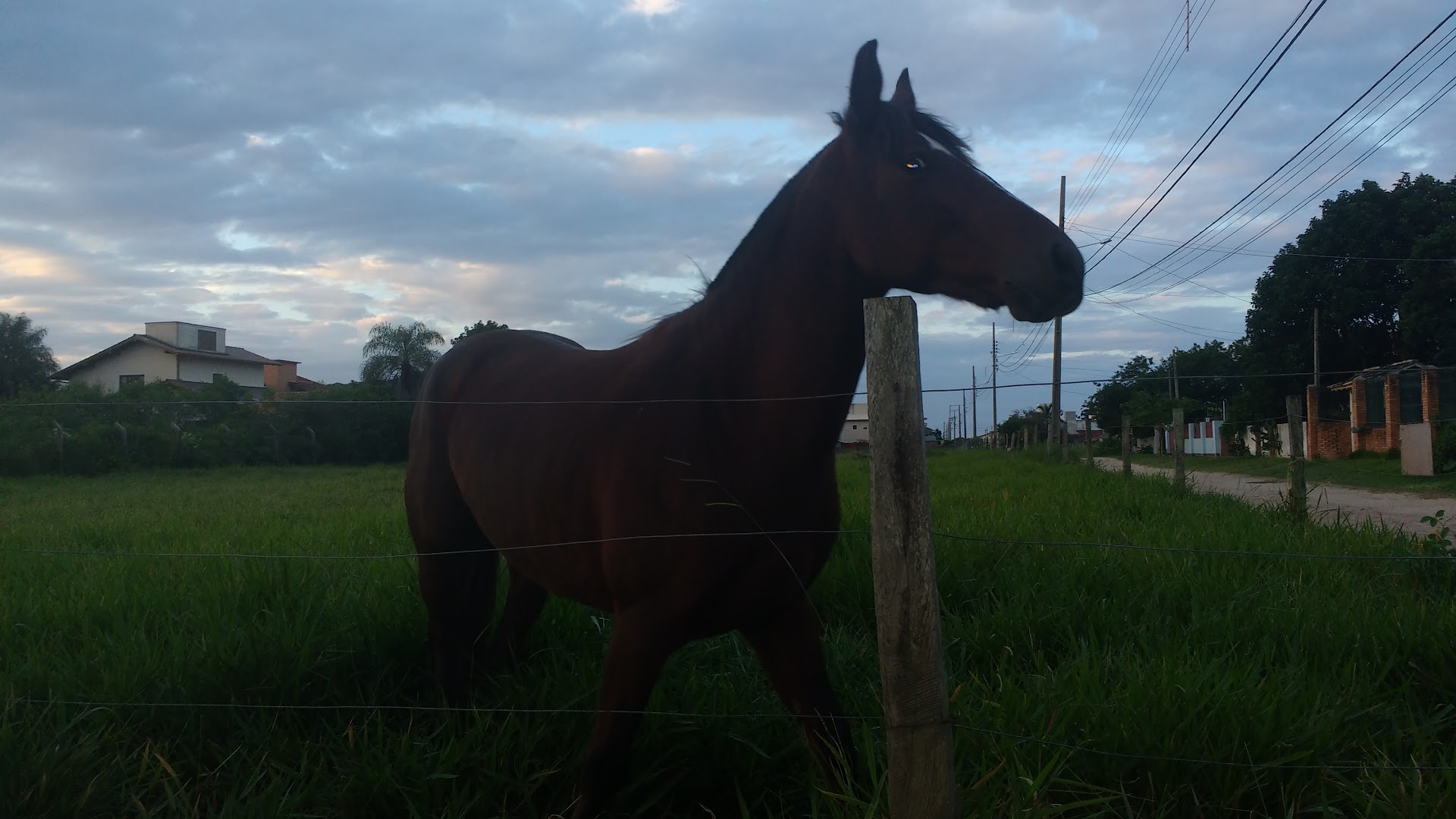 Rancho do RAM - Image 4