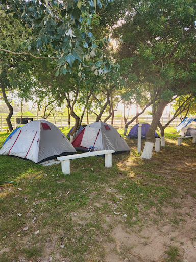 Camping Nevesul - Image 2