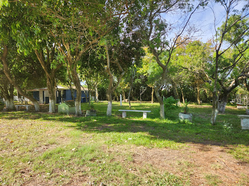 Camping Nevesul - Image 3