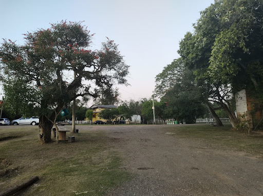 Camping do Bicho Véio - Main Image