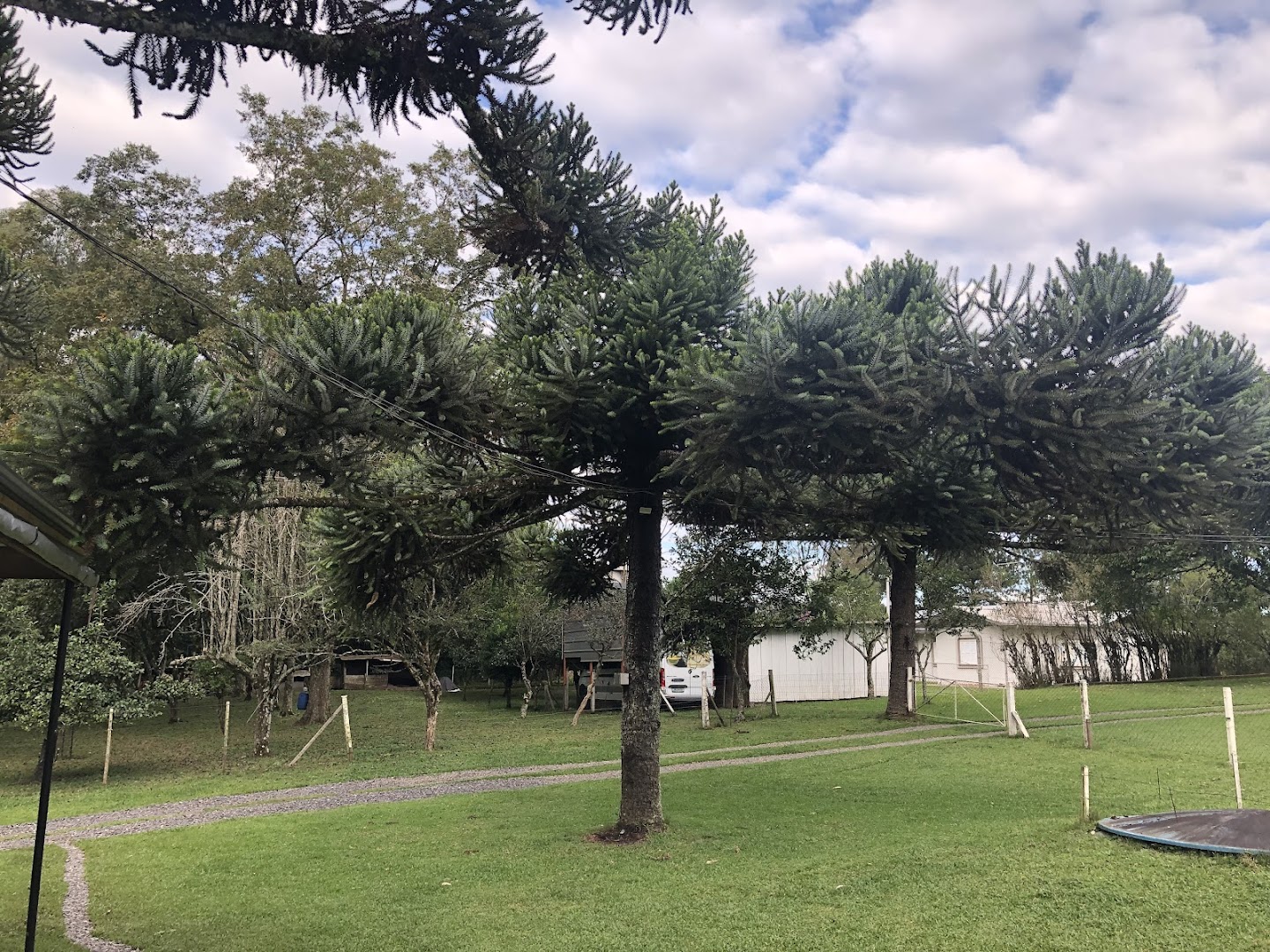 Apoio Motorhome Polenta na Estrada - Image 4