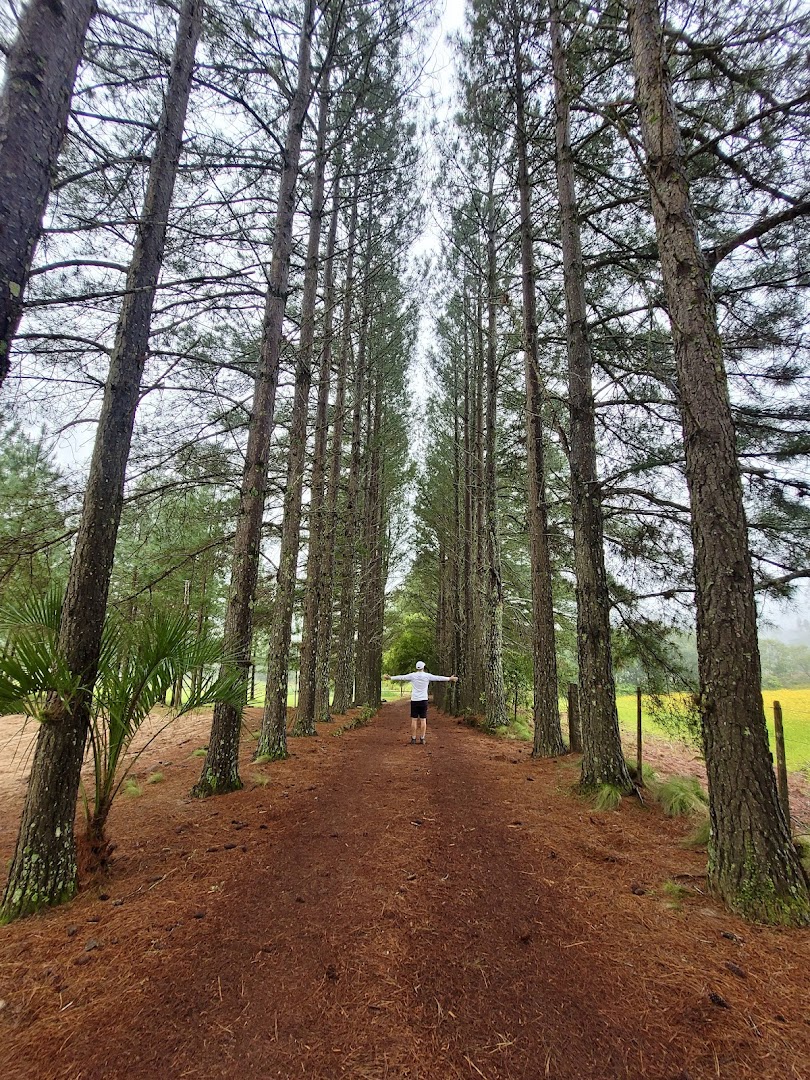 Cachoeira do Camboatá - Image 5