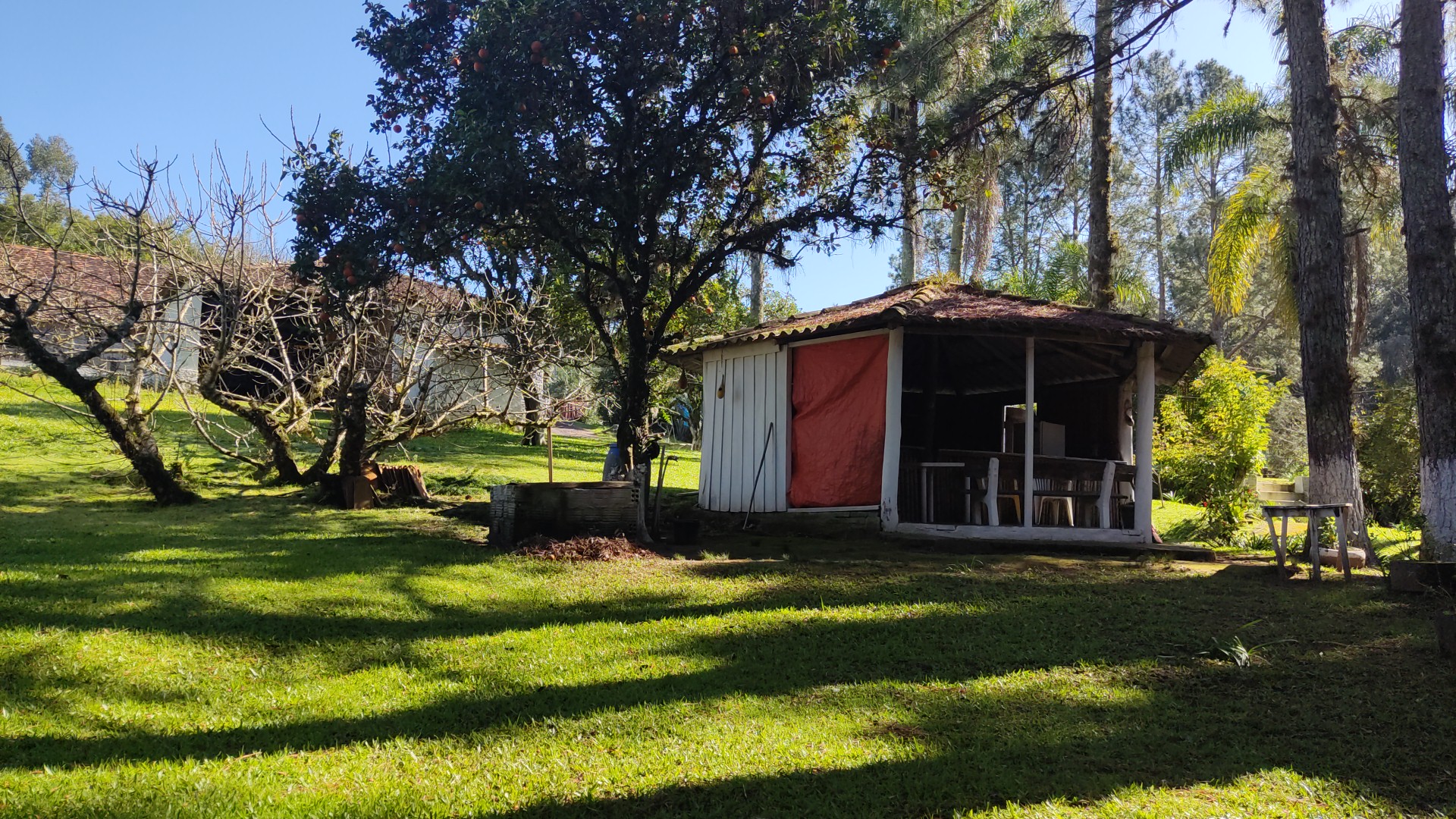 Tio Udo - Main Image