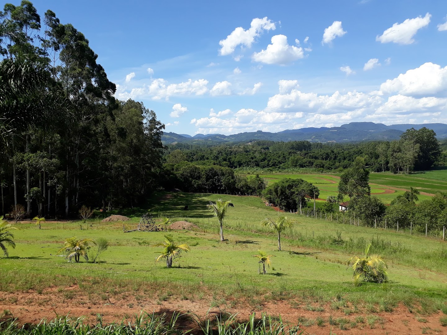 Balneário Cupido Aquático - Image 5