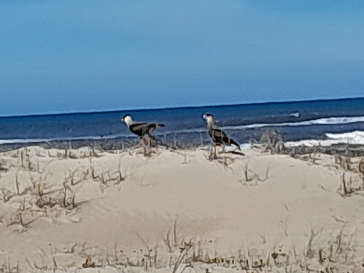 Camping Real - Image 4