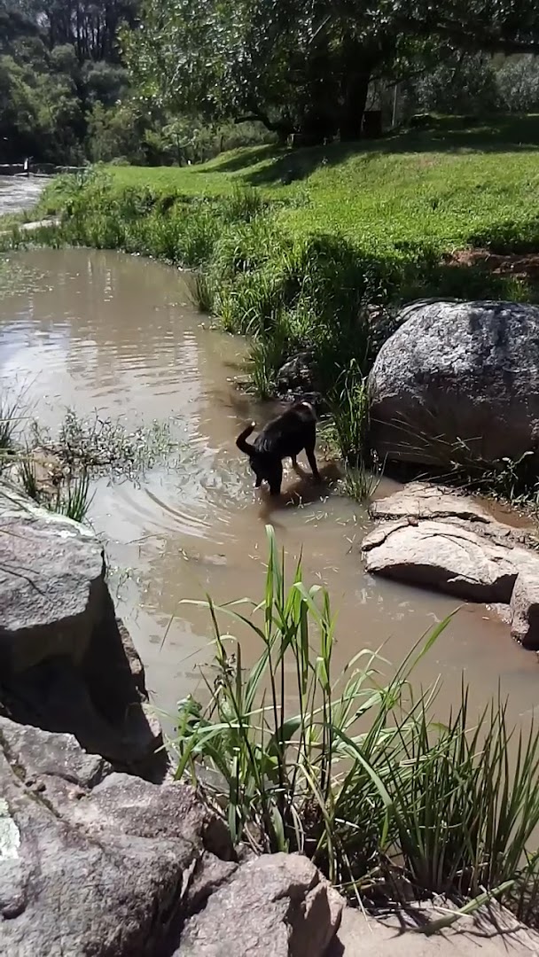 RECANTO DOS COSWIG EMPREENDIMENTOS TURISTICOS LTDA - Image 2