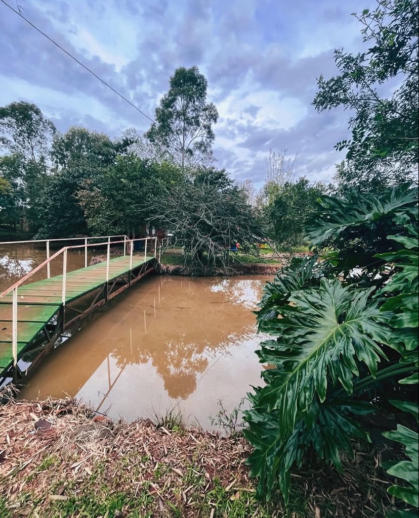 Pesque Pague Stein - Main Image