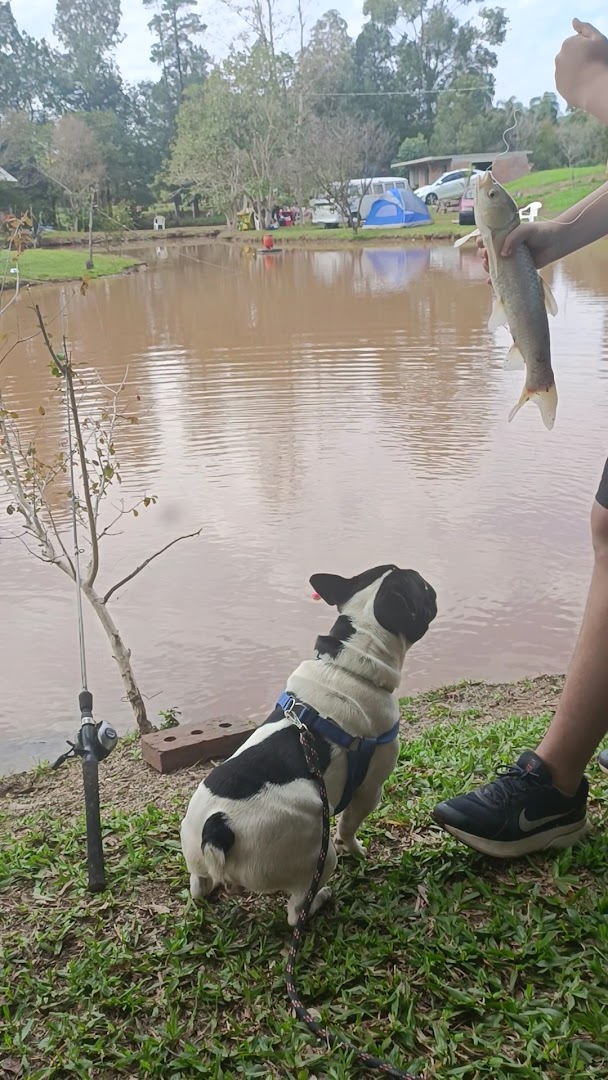 Pesque Pague Stein - Image 2