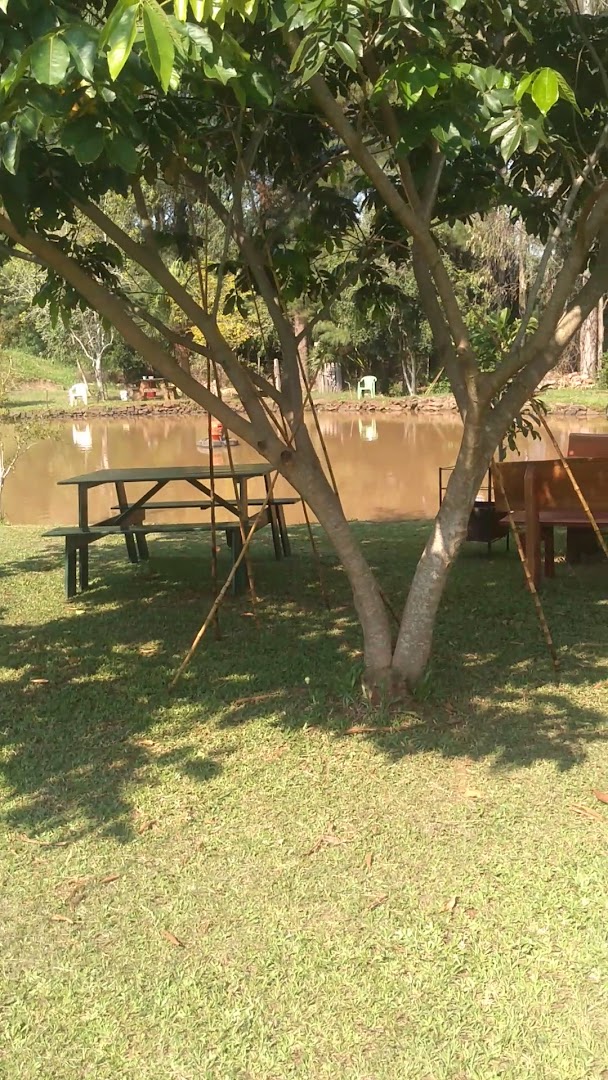 Pesque Pague Stein - Image 3