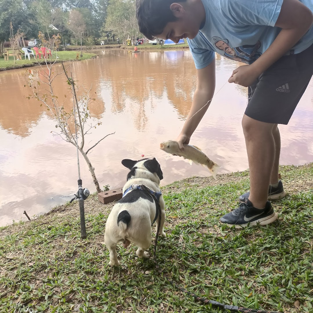 Pesque Pague Stein - Image 4