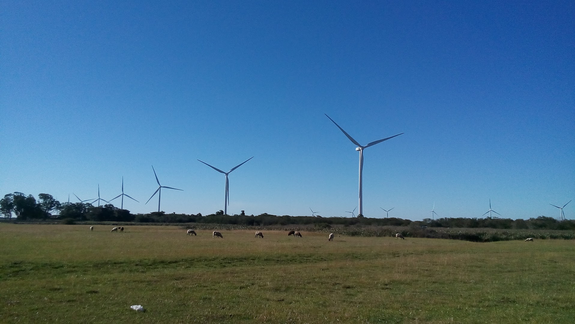 Camping Lagoa Do Casamento - Image 5