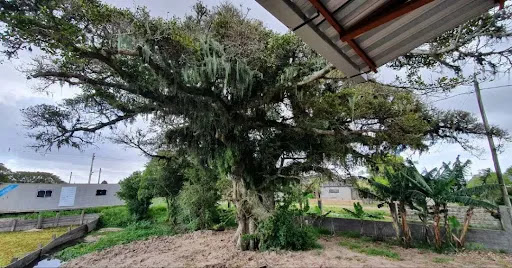 Camping Náutico Porto Guará - Image 3