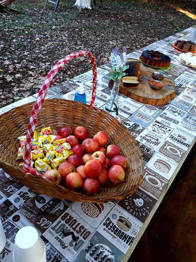 Sítio Águas Claras - Image 2