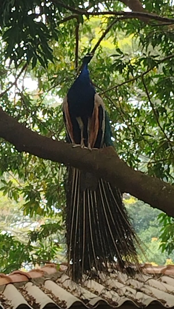 Granja Käfer Turismo Rural e Produtos Coloniais - Image 2