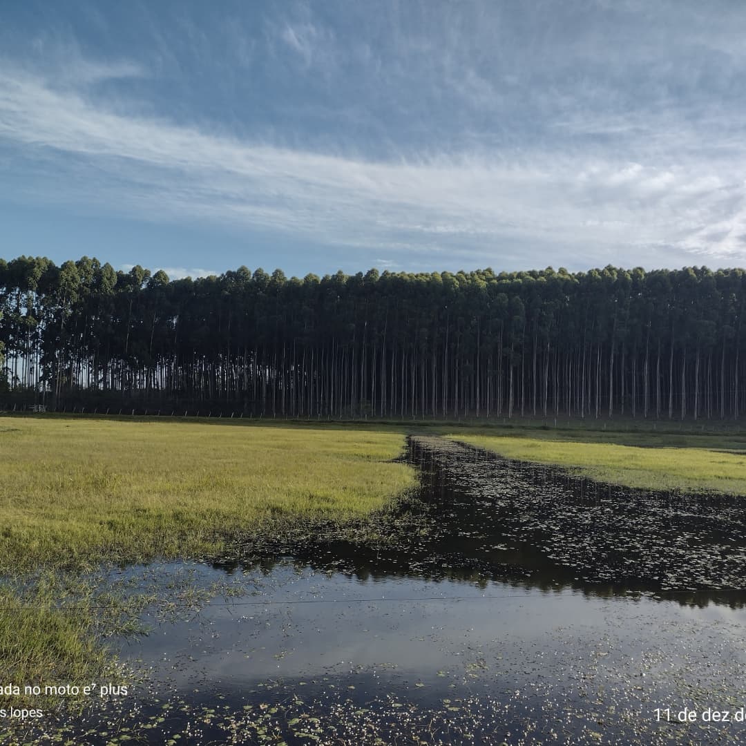 Granja Käfer Turismo Rural e Produtos Coloniais - Image 4