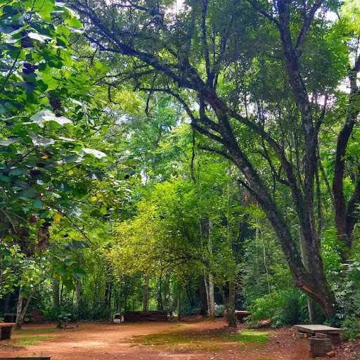 Sítio de Lazer e Camping da Pedra - Image 2