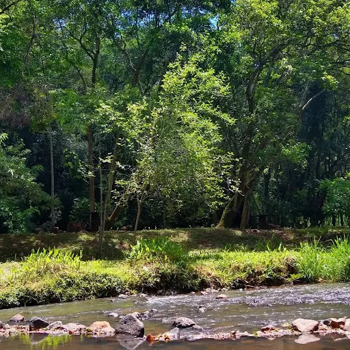 Sítio de Lazer e Camping da Pedra - Image 3