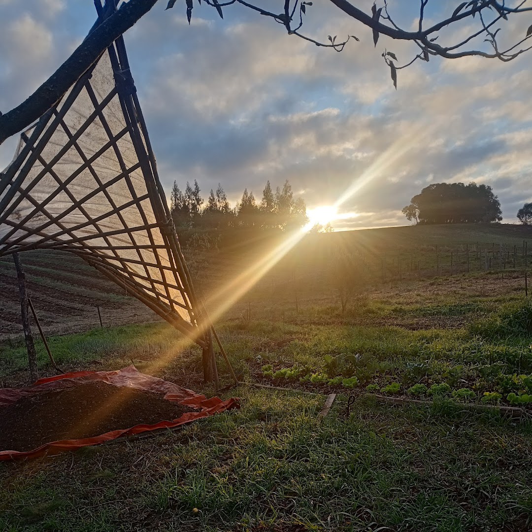 Terra da Árvore Redonda - Image 3