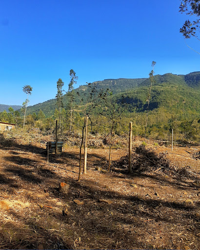 Rio de Estrelas Camping - Image 3