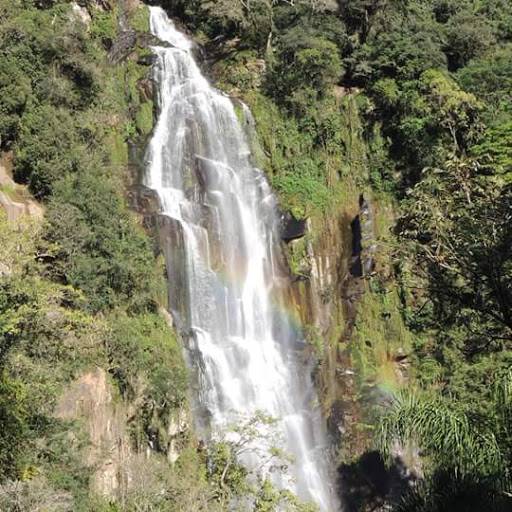 Sítio Campiol - Main Image