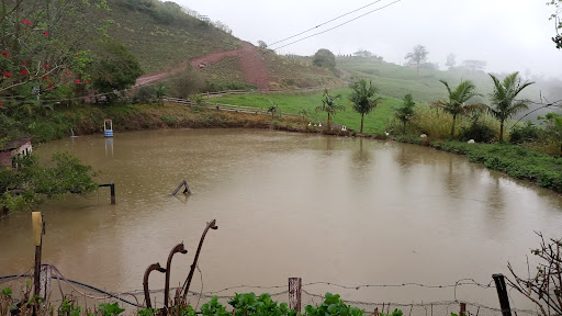 Sítio Campiol - Image 2