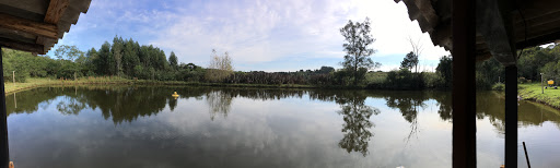 Camping Ferrari - Image 3