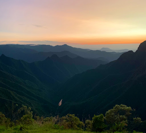 Fazenda do Pontão - Image 2