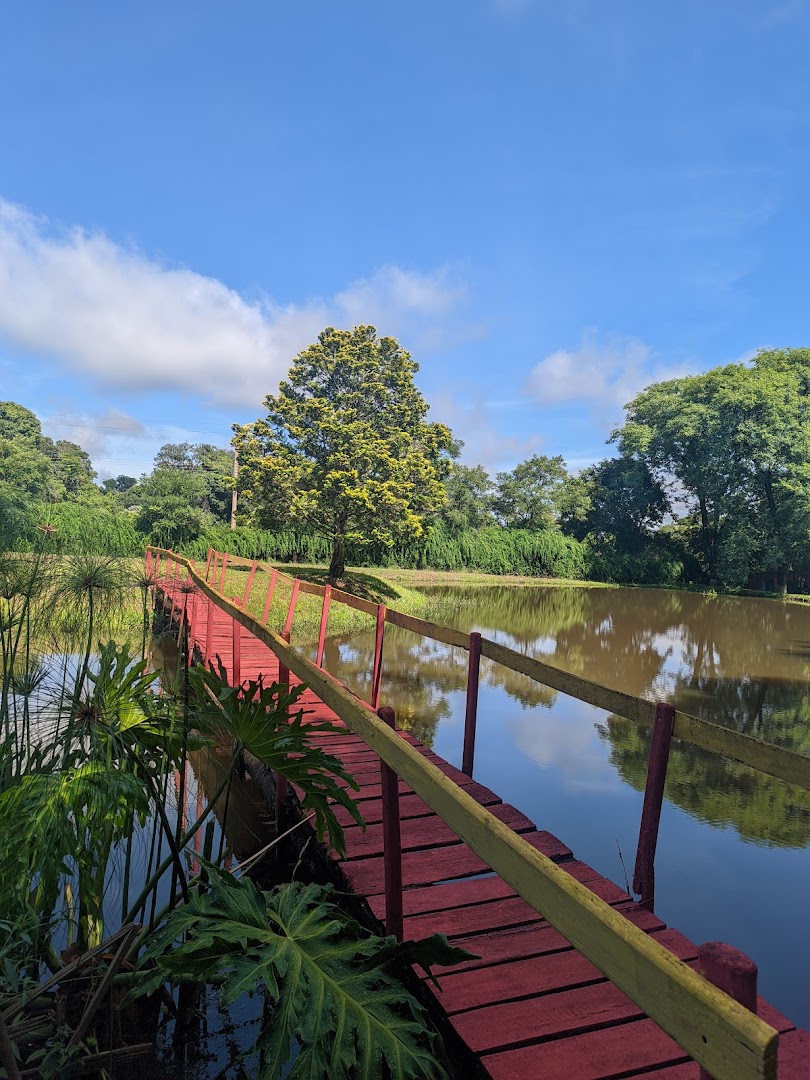 Cactos Balneário - Main Image