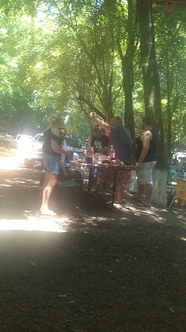 Cactos Balneário - Image 2