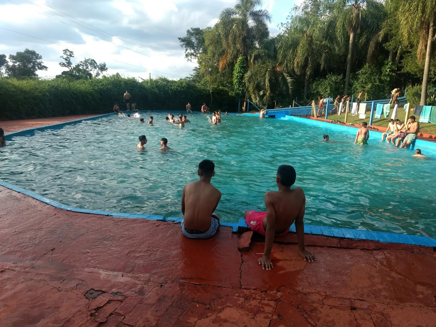 Cactos Balneário - Image 3