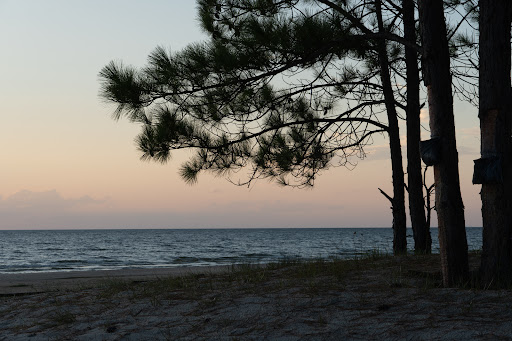 Camping Praia Do Tio Nilson - Image 2